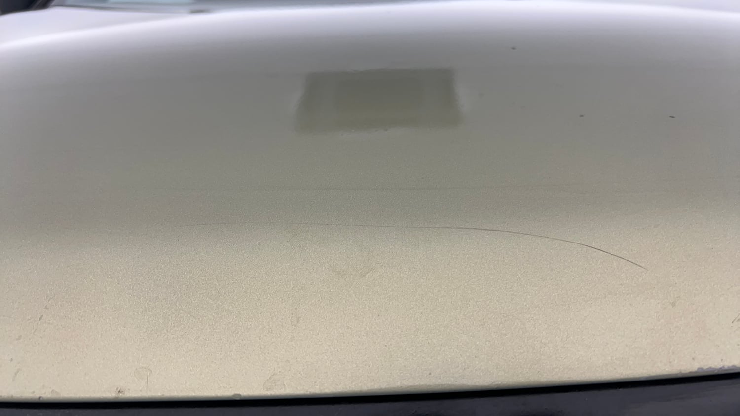 Used 2022 Tata Nexon XZ Plus Kaziranga Petrol Manual dents MINOR SCRATCH
