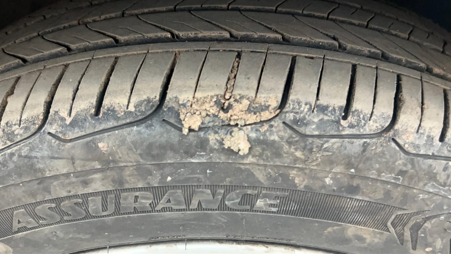 Used 2019 Volkswagen Polo Highline Plus 1.5 (D) 16 Alloy Diesel Manual tyres RIGHT FRONT TYRE TREAD VIEW
