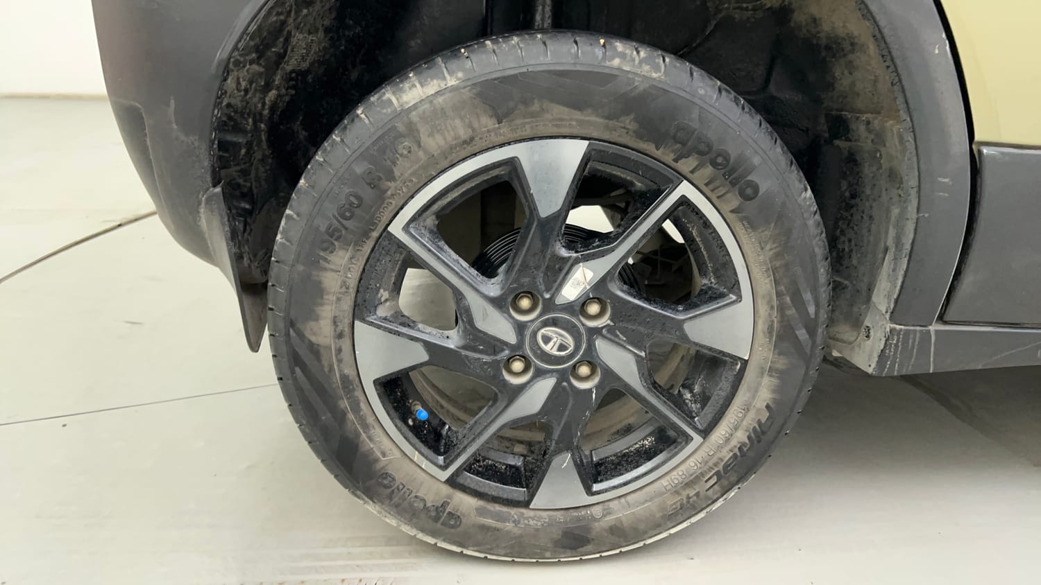 Used 2022 Tata Punch Kaziranga Creative iRA Pack AMT Petrol Automatic tyres RIGHT REAR TYRE RIM VIEW