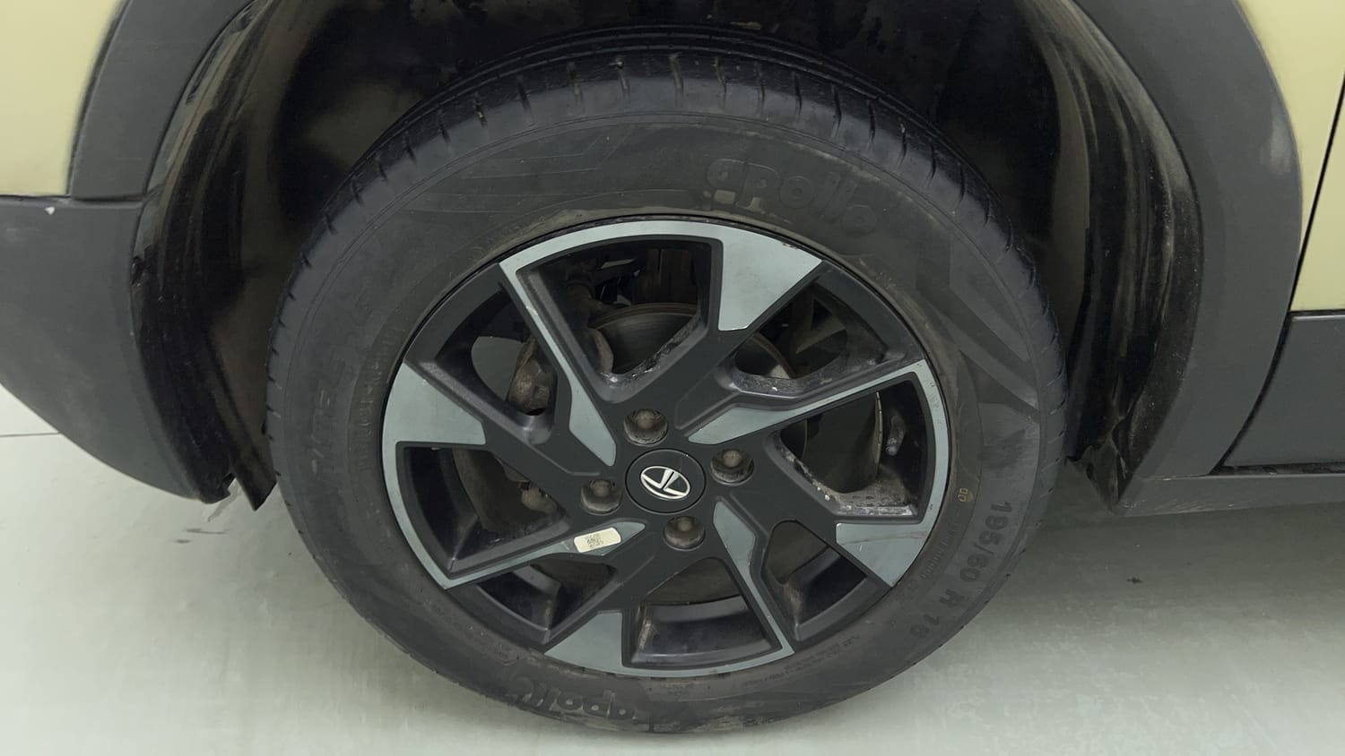 Used 2022 Tata Punch CREATIVE KAZIRANGA EDITION CNG (OUTSIDE FITTED) Cng Manual tyres LEFT FRONT TYRE RIM VIEW