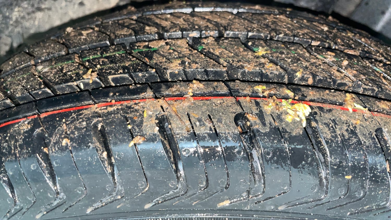 Used 2019 Hyundai Santro Sportz Petrol Manual tyres LEFT REAR TYRE TREAD VIEW