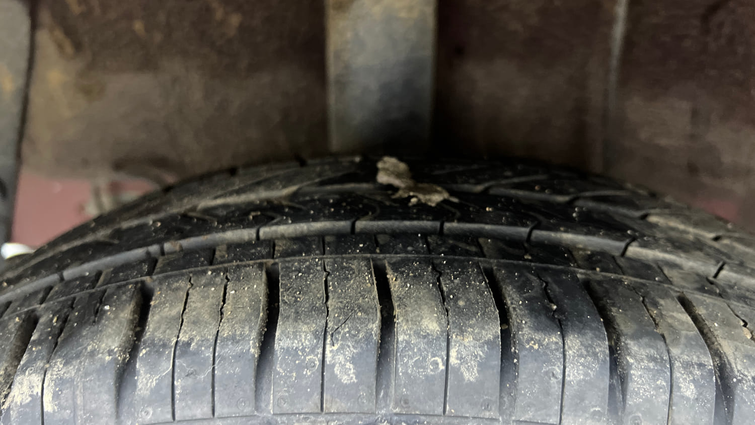 Used 2019 Hyundai Grand i10 Sportz 1.2 Kappa VTVT Petrol Manual tyres RIGHT REAR TYRE TREAD VIEW