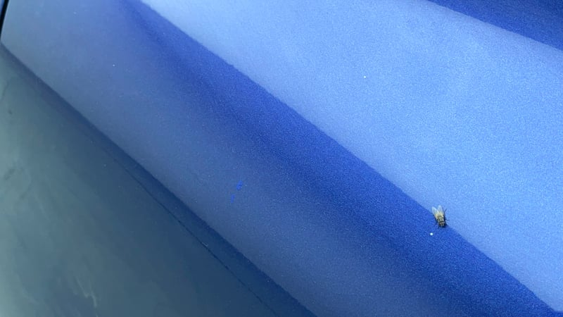Used 2019 Maruti Suzuki Baleno Alpha Petrol Manual dents MINOR DENT