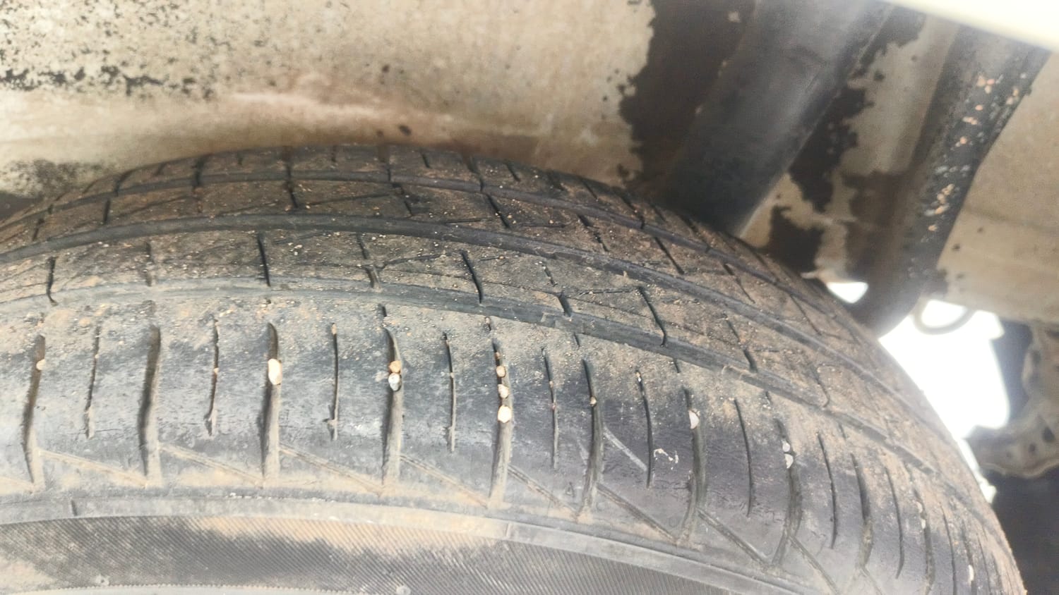 Used 2023 Maruti Suzuki S-Presso VXi Plus (O) AMT Petrol Automatic tyres LEFT REAR TYRE TREAD VIEW