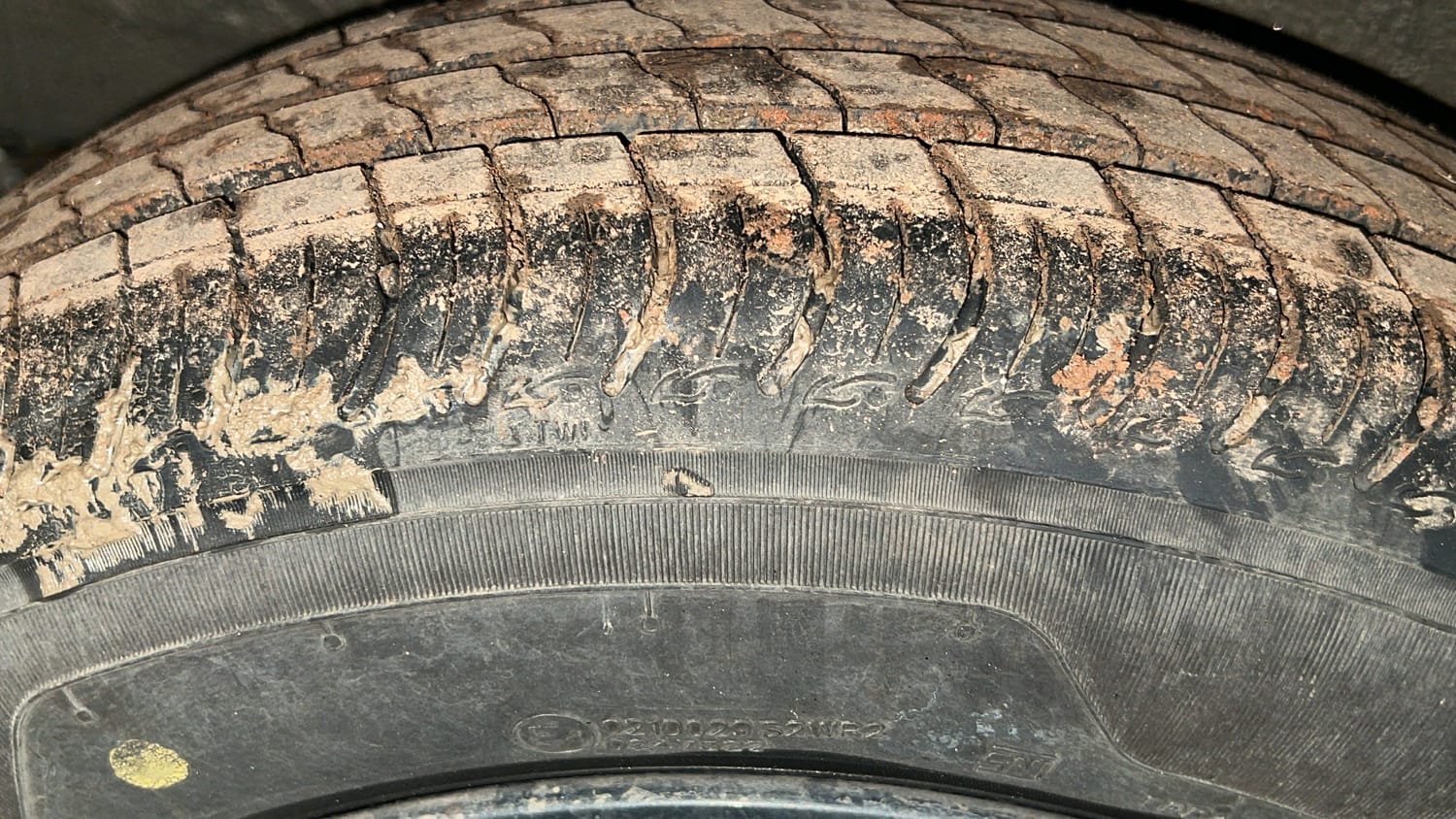 Used 2024 Maruti Suzuki Wagon R ZXI Plus 1.2 Petrol Manual tyres RIGHT REAR TYRE TREAD VIEW