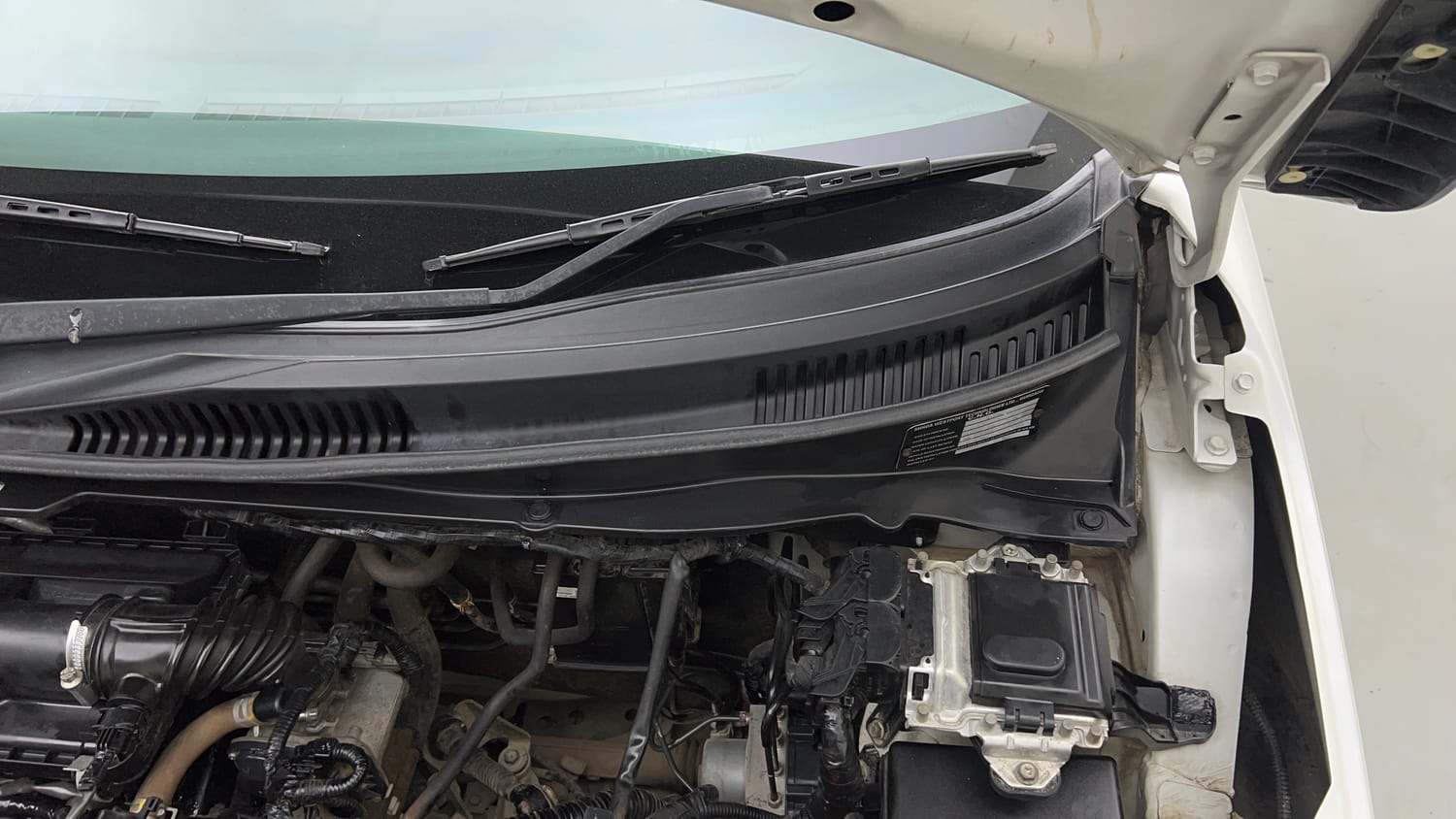 Used 2022 Maruti Suzuki Ignis Sigma 1.2 MT Petrol Manual engine ENGINE LEFT SIDE HINGE & APRON VIEW