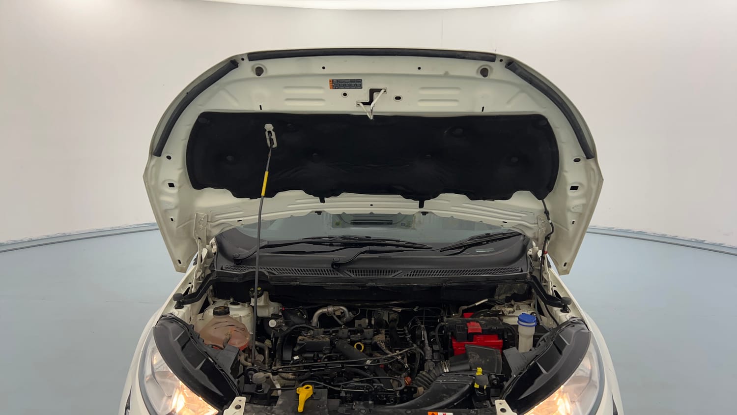Used 2019 Ford EcoSport Trend 1.5L Ti-VCT Petrol Manual engine ENGINE & BONNET OPEN FRONT VIEW
