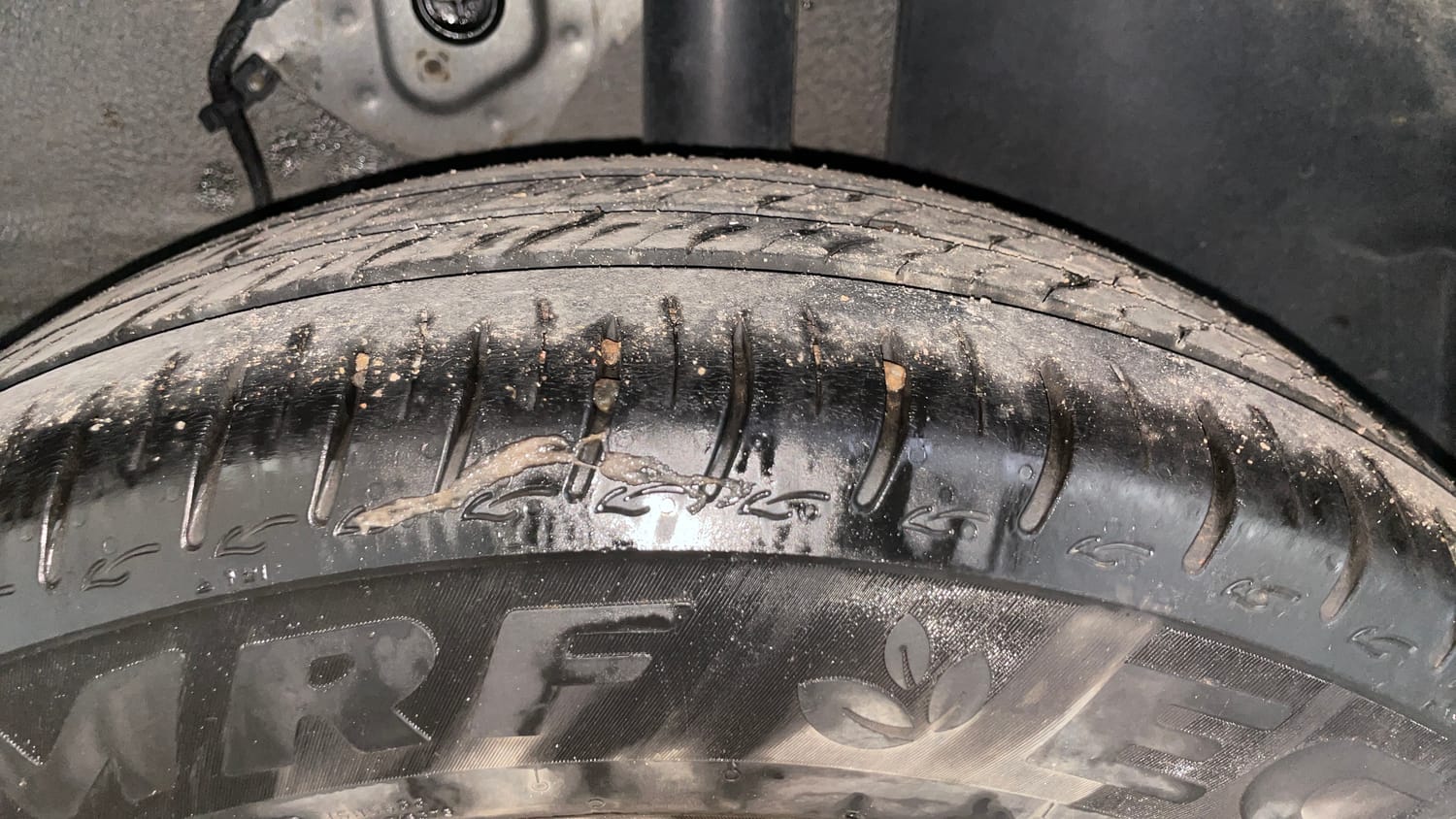 Used 2024 Tata Altroz XM Plus Petrol Petrol Manual tyres LEFT REAR TYRE TREAD VIEW