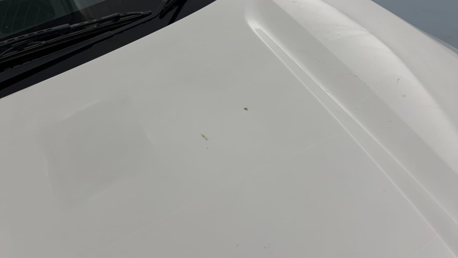 Used 2019 Honda City VX Petrol Petrol Manual dents MINOR DENT