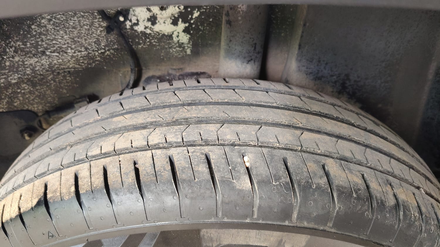 Used 2024 Tata Punch Adventure MT Petrol Manual tyres LEFT REAR TYRE TREAD VIEW