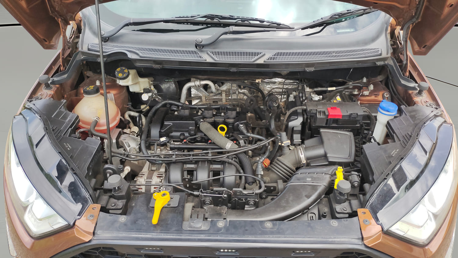 Used 2018 Ford EcoSport Titanium + 1.5L Ti-VCT AT Petrol Automatic engine ENGINE & BONNET OPEN FRONT VIEW