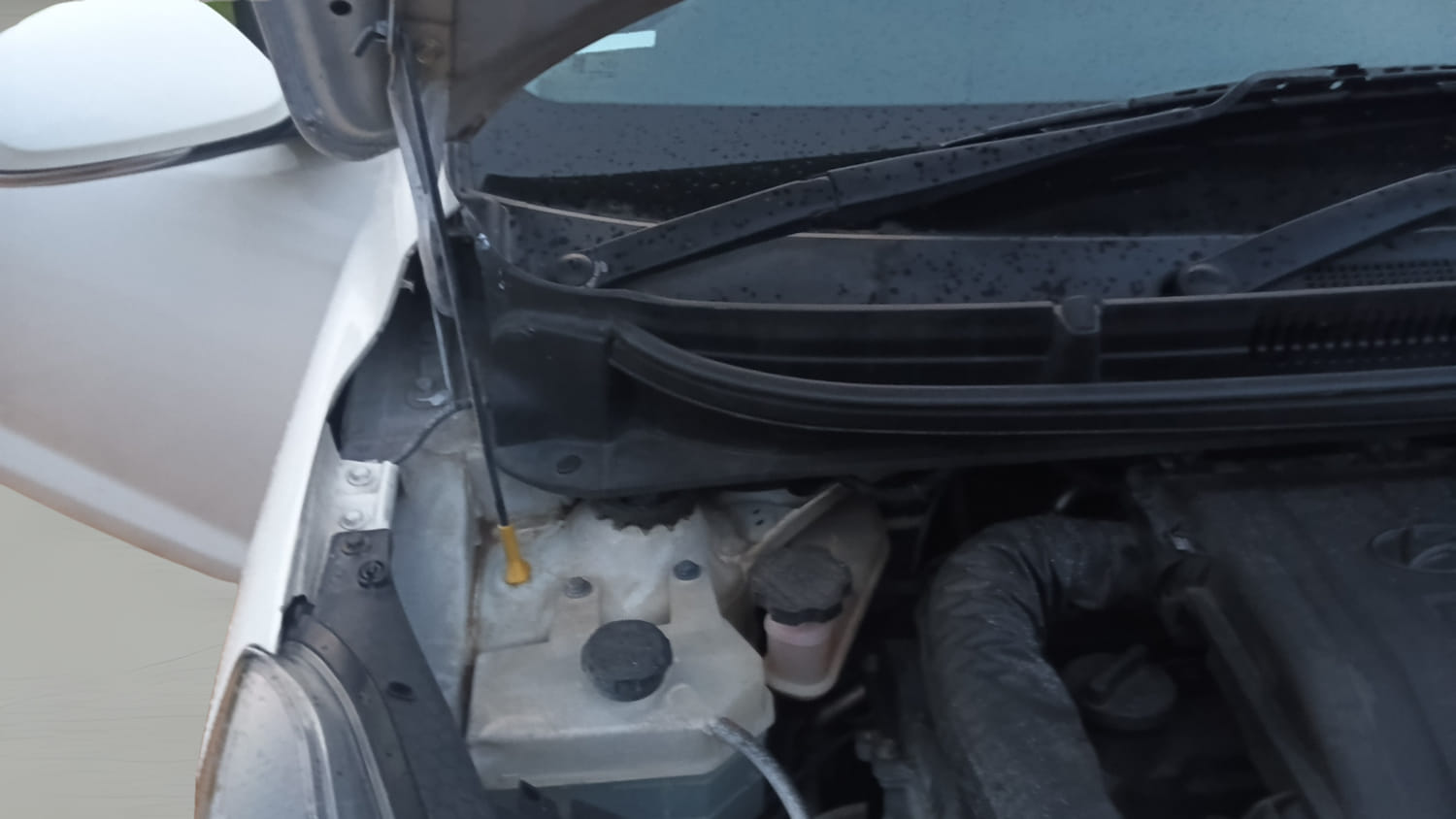 Used 2020 Hyundai Aura SX 1.2 Petrol Petrol Manual engine ENGINE RIGHT SIDE HINGE & APRON VIEW