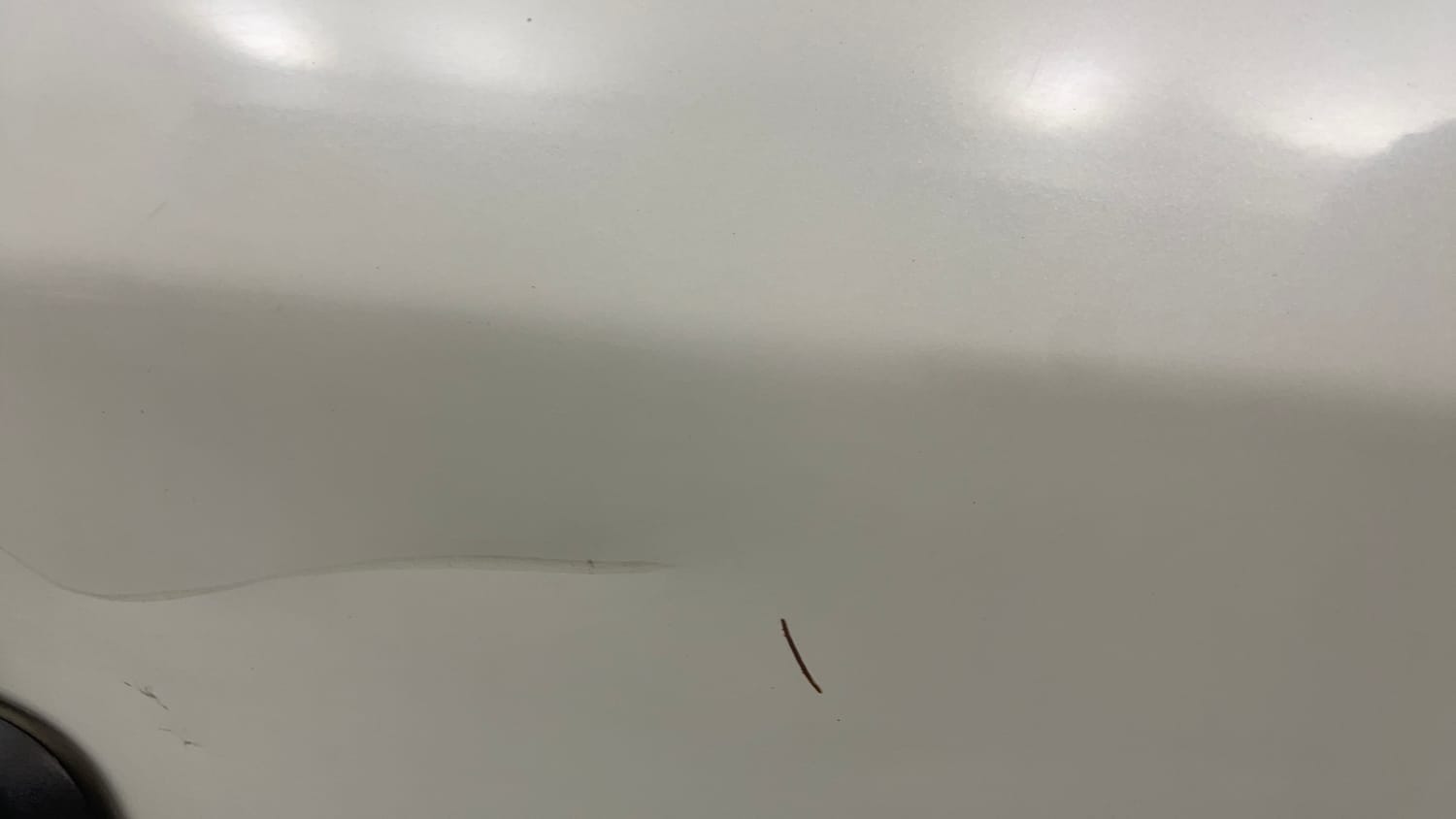 Used 2016 Maruti Suzuki Celerio VXi Petrol Manual dents MINOR DENT