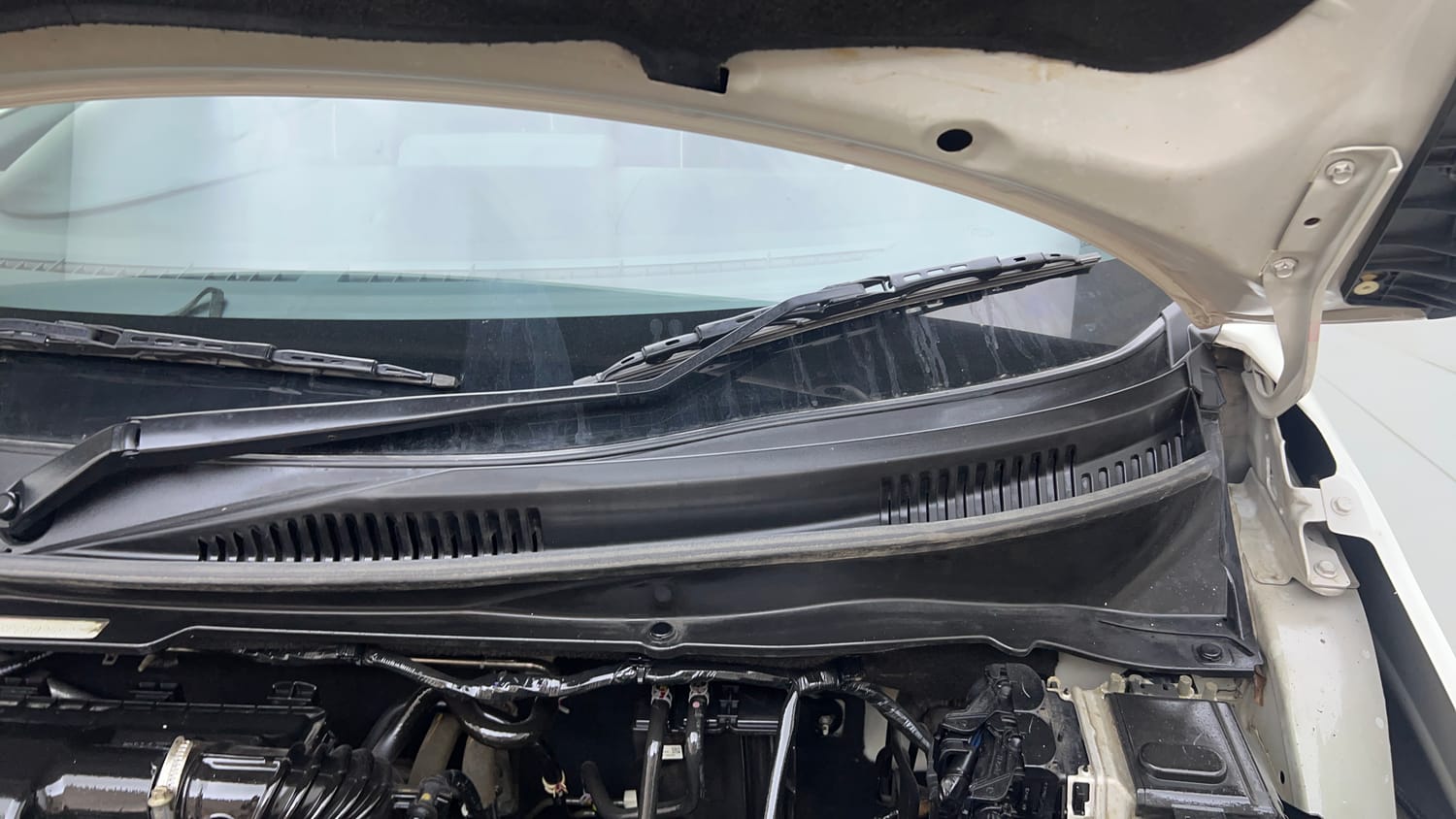 Used 2023 Maruti Suzuki Ignis Sigma 1.2 MT Petrol Manual engine ENGINE LEFT SIDE HINGE & APRON VIEW
