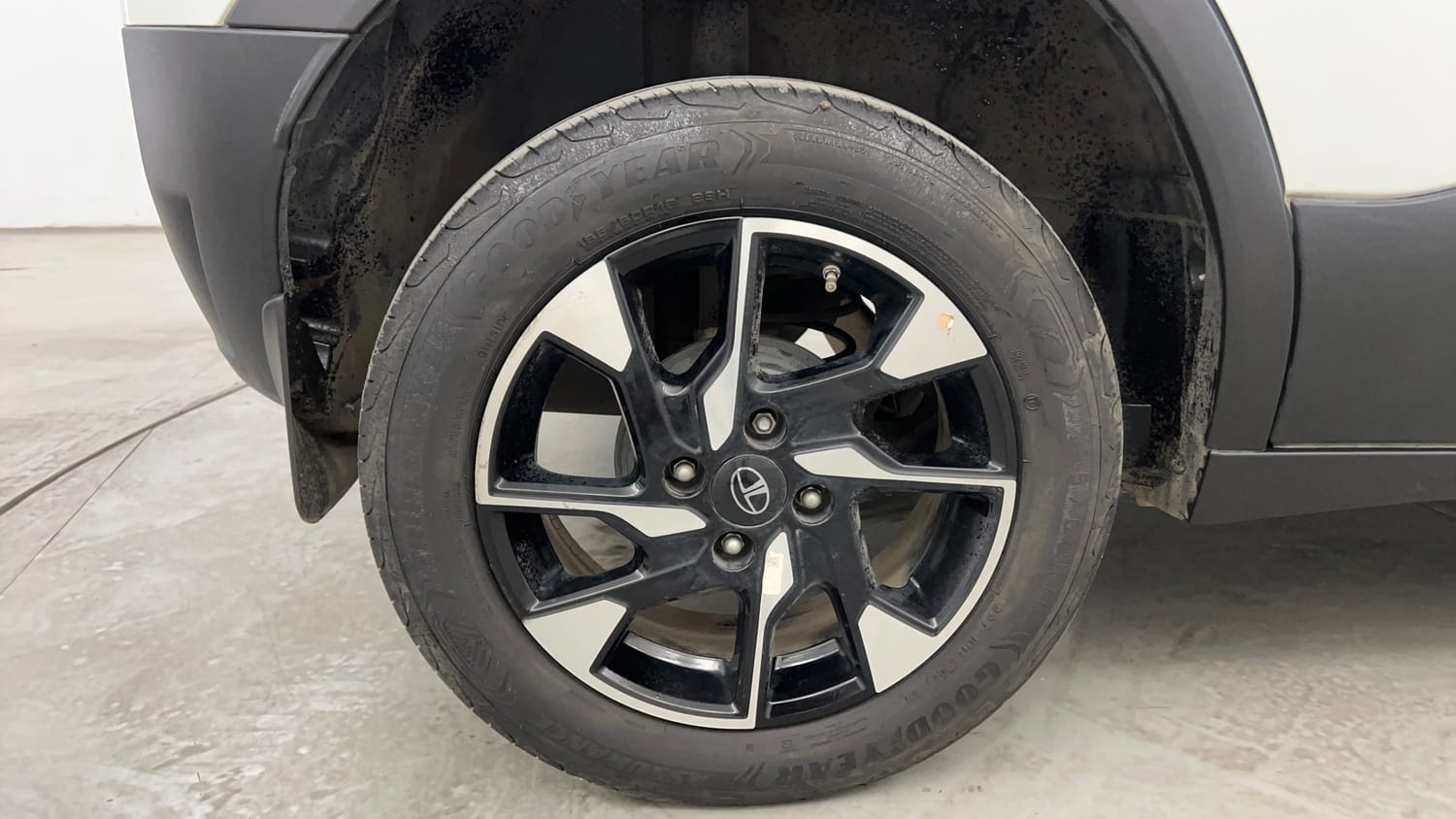 Used 2025 Tata Punch Creative Plus AMT Petrol Automatic tyres RIGHT REAR TYRE RIM VIEW