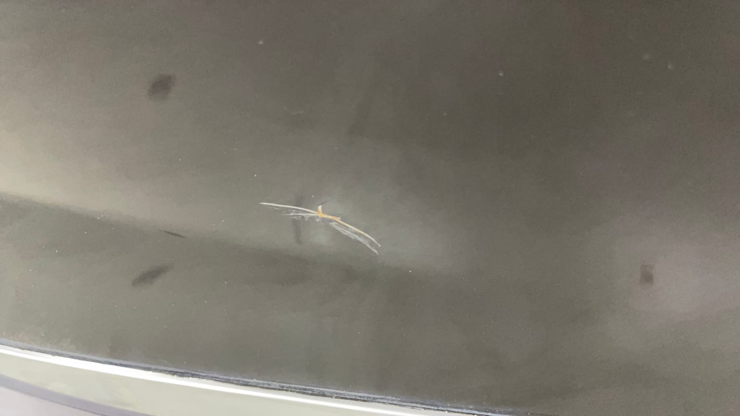Used 2022 null Petrol Automatic dents MINOR SCRATCH