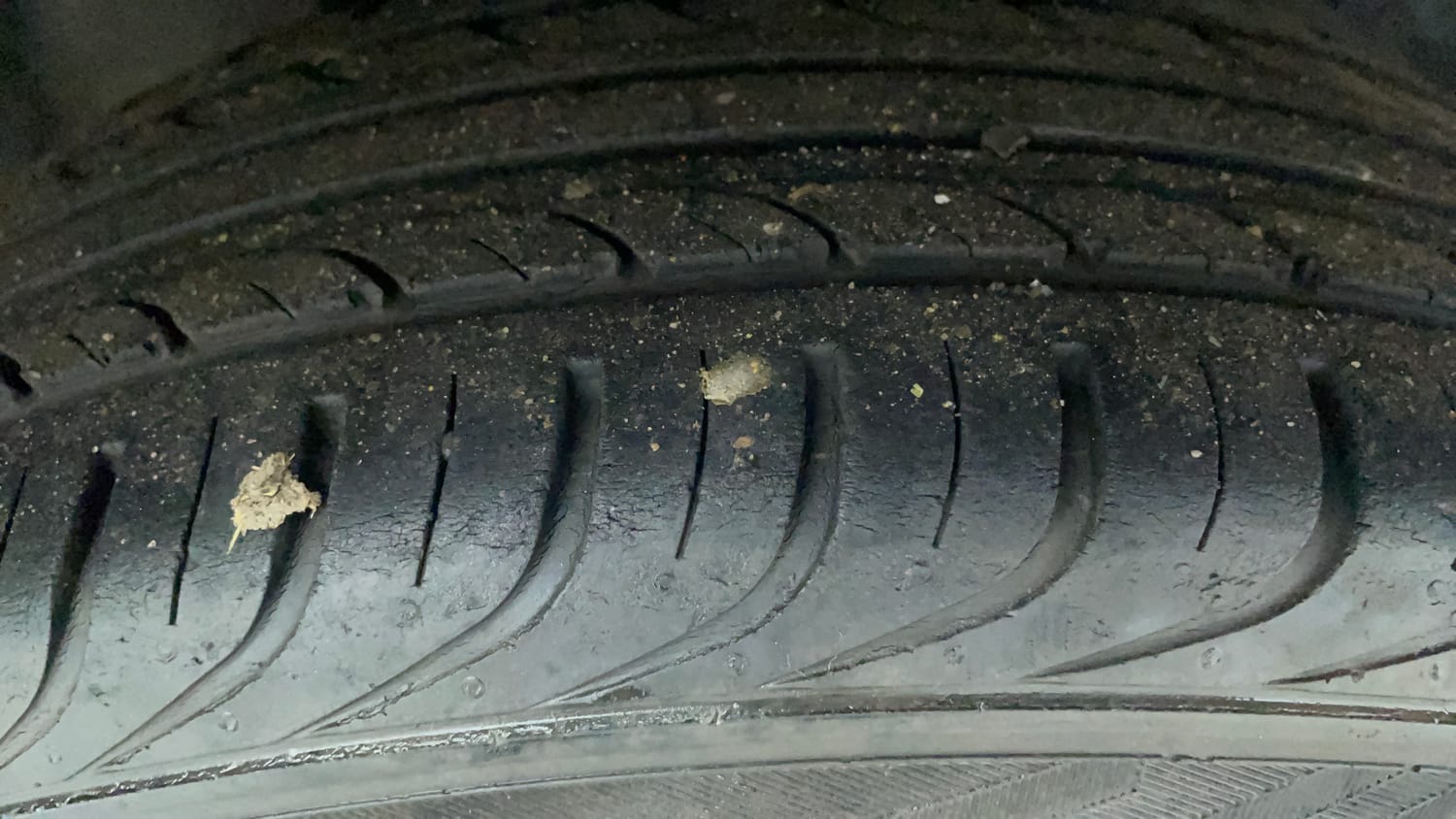 Used 2017 Volkswagen Ameo Trendline 1.2L (P) Petrol Manual tyres RIGHT REAR TYRE TREAD VIEW