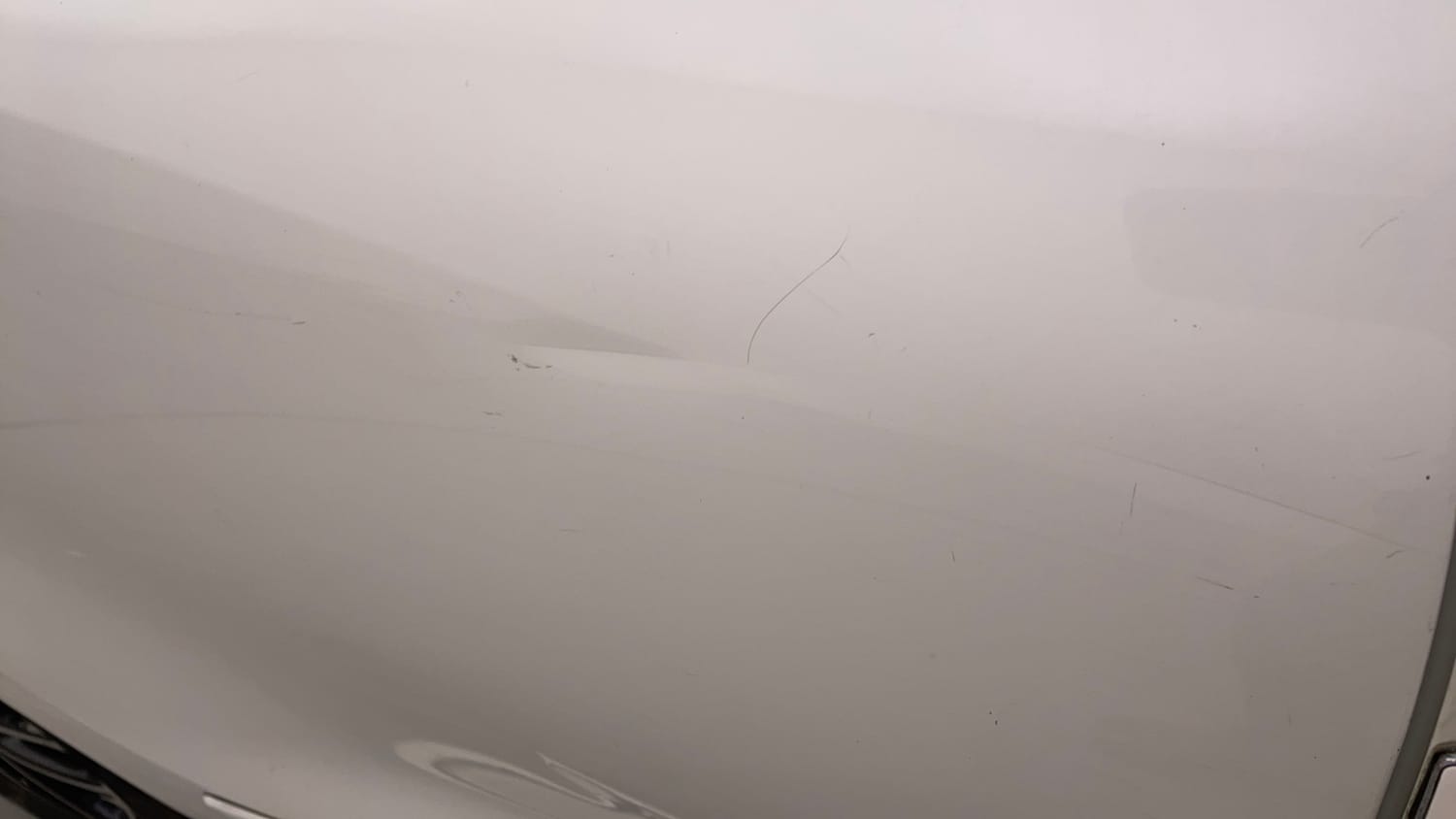 Used 2019 Maruti Suzuki Swift ZXi Plus Petrol Manual dents MINOR DENT