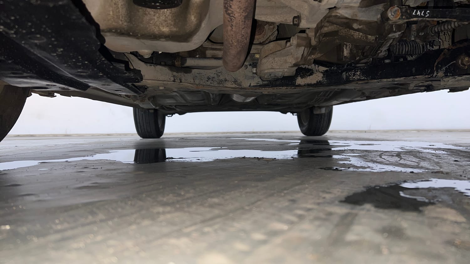 Used 2019 Maruti Suzuki Swift ZXi Plus Petrol Manual extra FRONT LEFT UNDERBODY VIEW