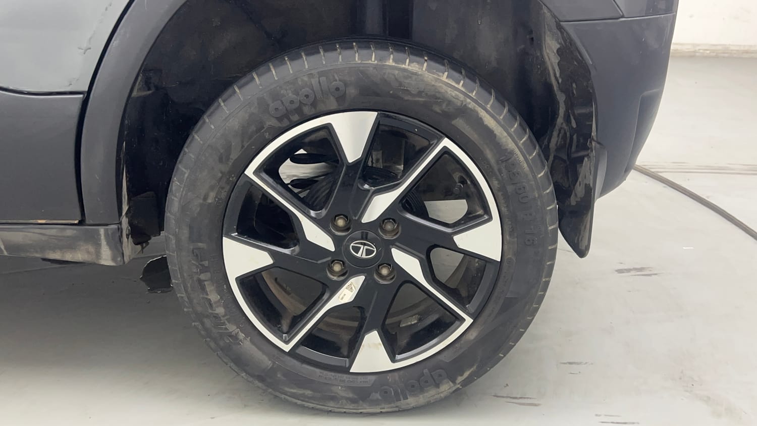 Used 2023 Tata Punch Creative AMT Petrol Automatic tyres LEFT REAR TYRE RIM VIEW