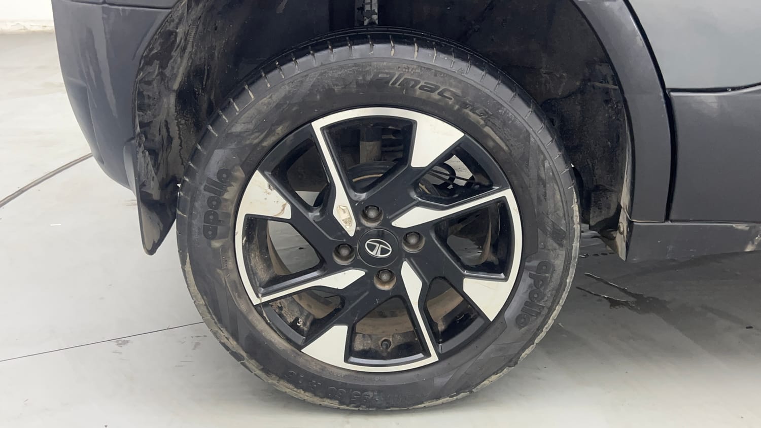 Used 2023 Tata Punch Creative AMT Petrol Automatic tyres RIGHT REAR TYRE RIM VIEW