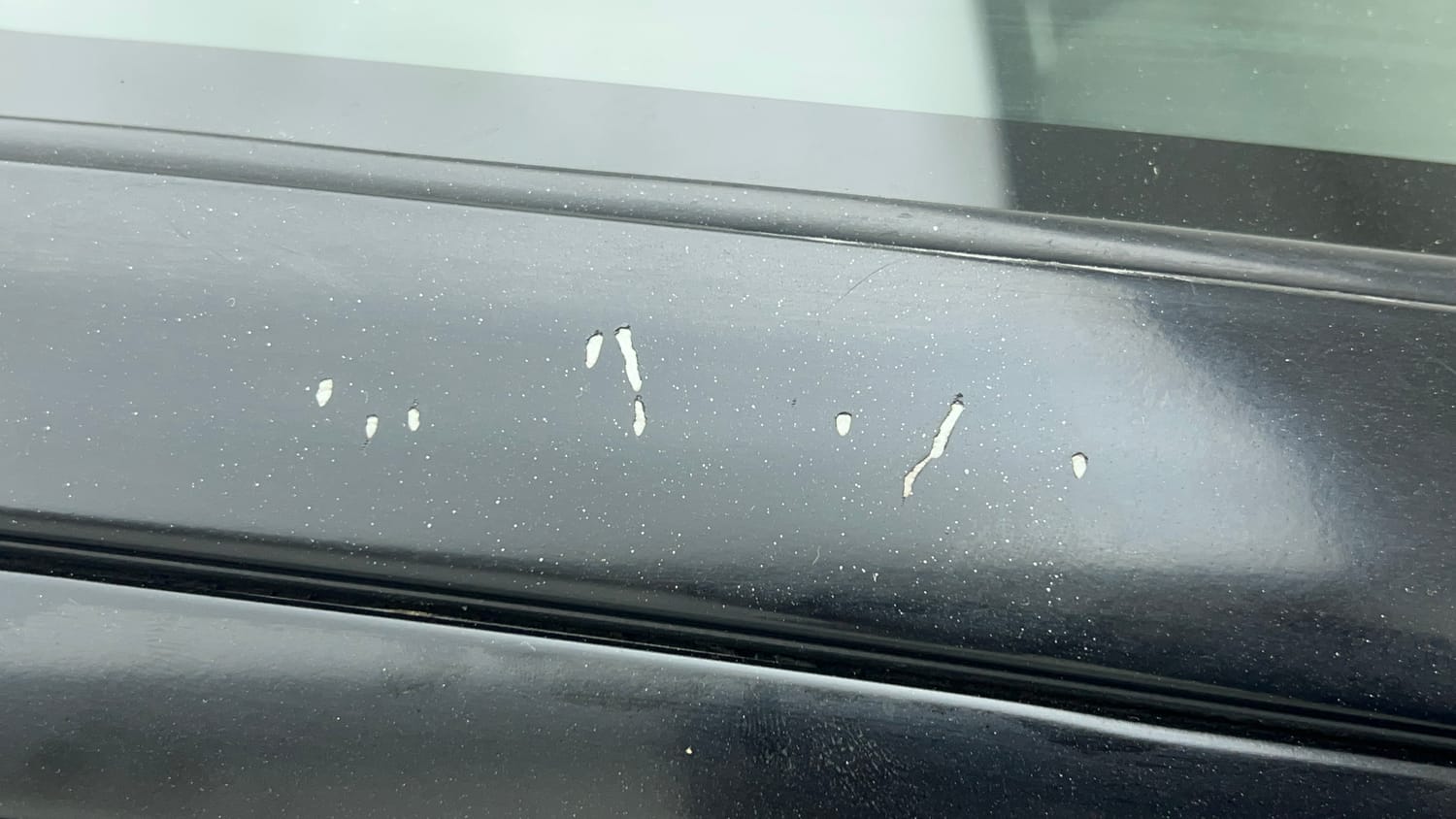 Used 2019 Maruti Suzuki Baleno Alpha Petrol Manual dents MINOR SCRATCH