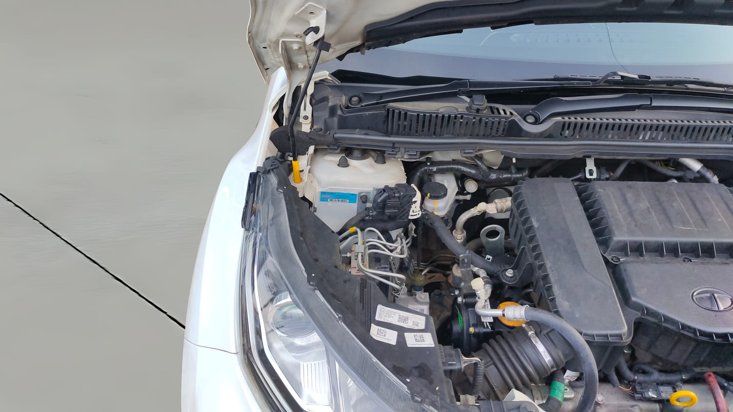 Used 2023 Tata Nexon XMA (S) Diesel Diesel Automatic engine ENGINE RIGHT SIDE HINGE & APRON VIEW