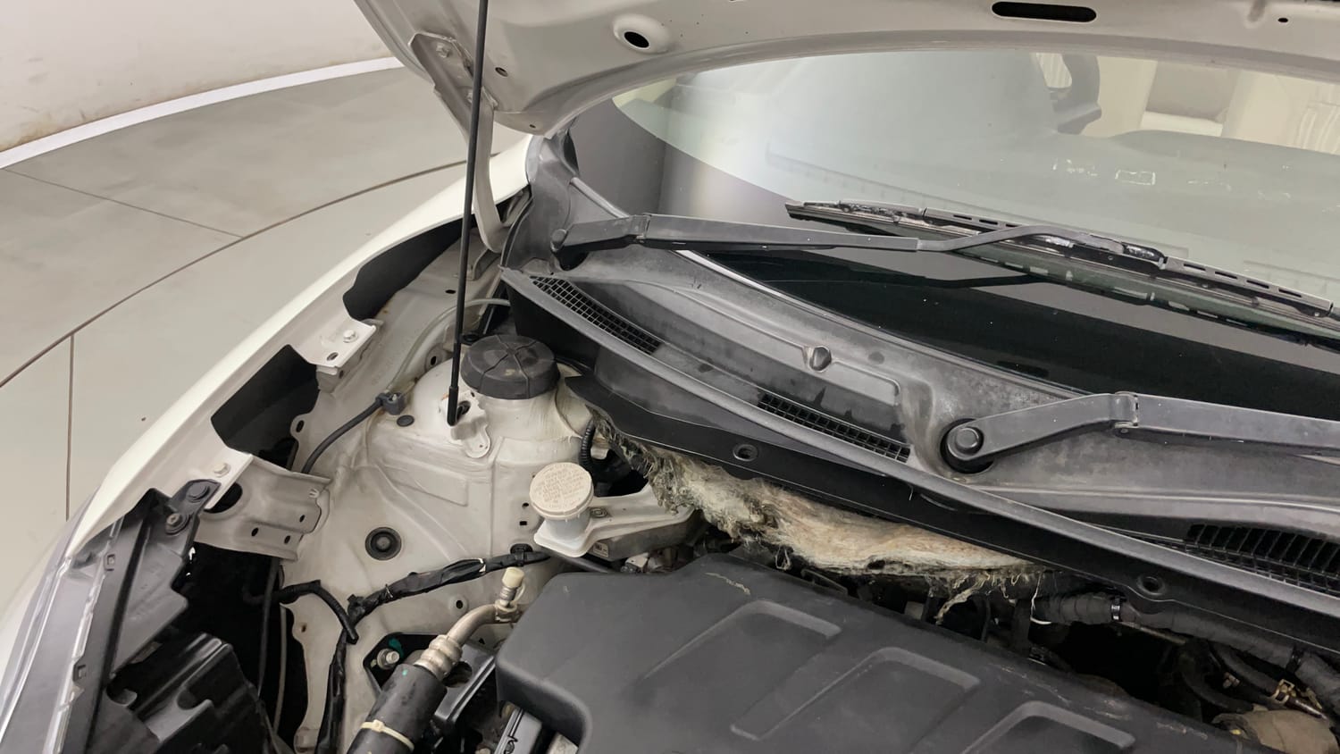 Used 2017 Maruti Suzuki Dzire ZDi Plus AMT Diesel Automatic engine ENGINE RIGHT SIDE HINGE & APRON VIEW