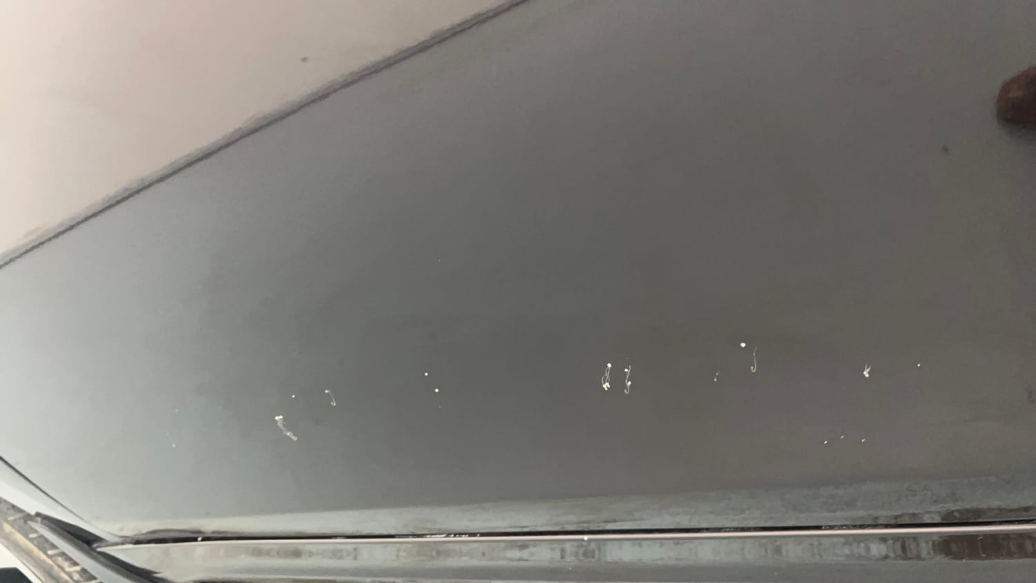 Used 2023 Tata Tiago XT Petrol Manual dents MINOR SCRATCH