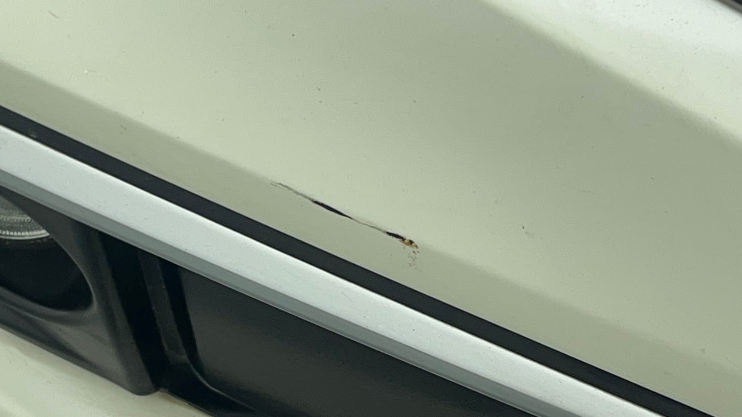 Used 2019 Honda Civic VX CVT Petrol Petrol Automatic dents MINOR SCRATCH