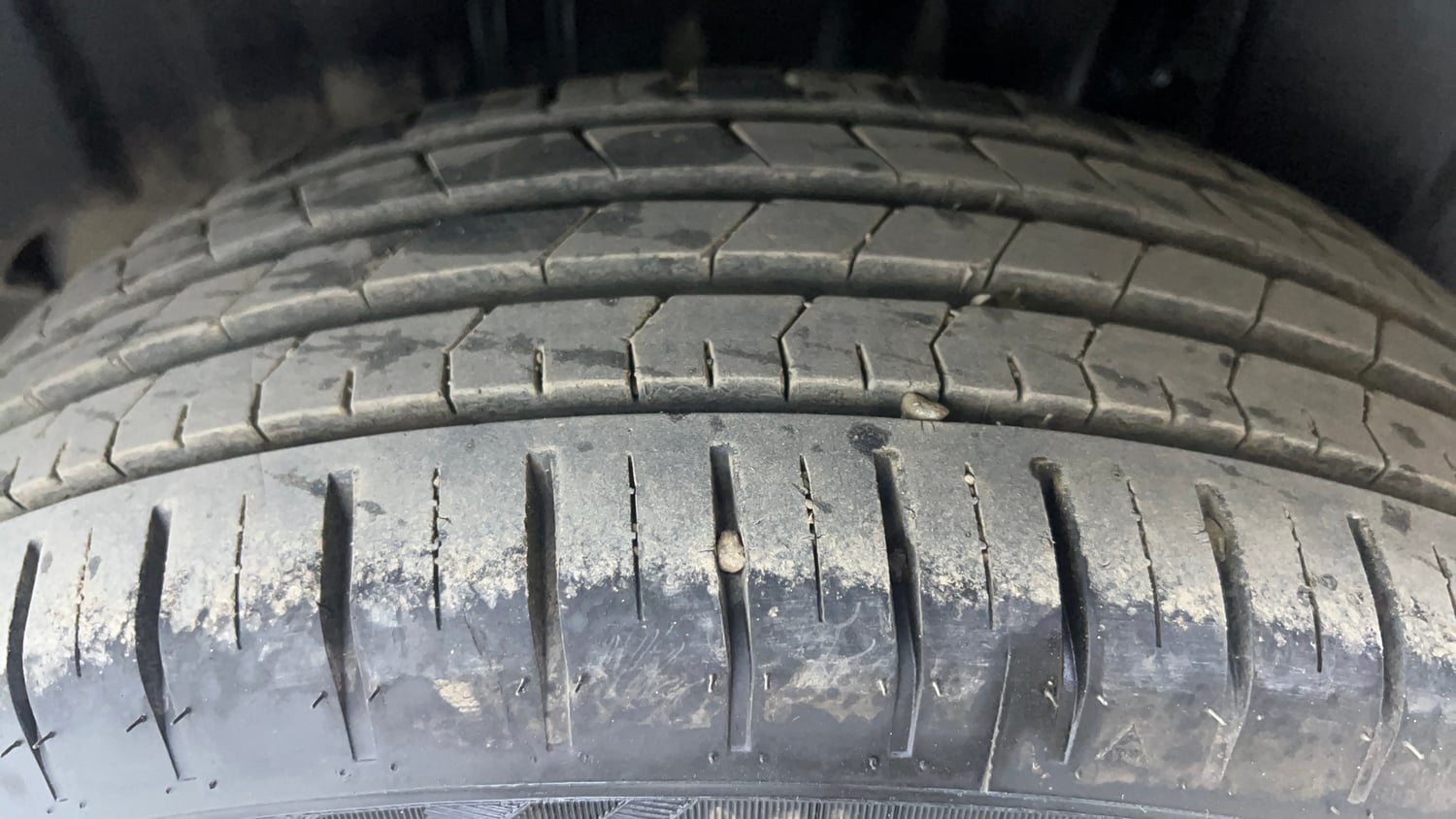 Used 2024 Maruti Suzuki Baleno Zeta AGS Petrol Automatic tyres LEFT REAR TYRE TREAD VIEW