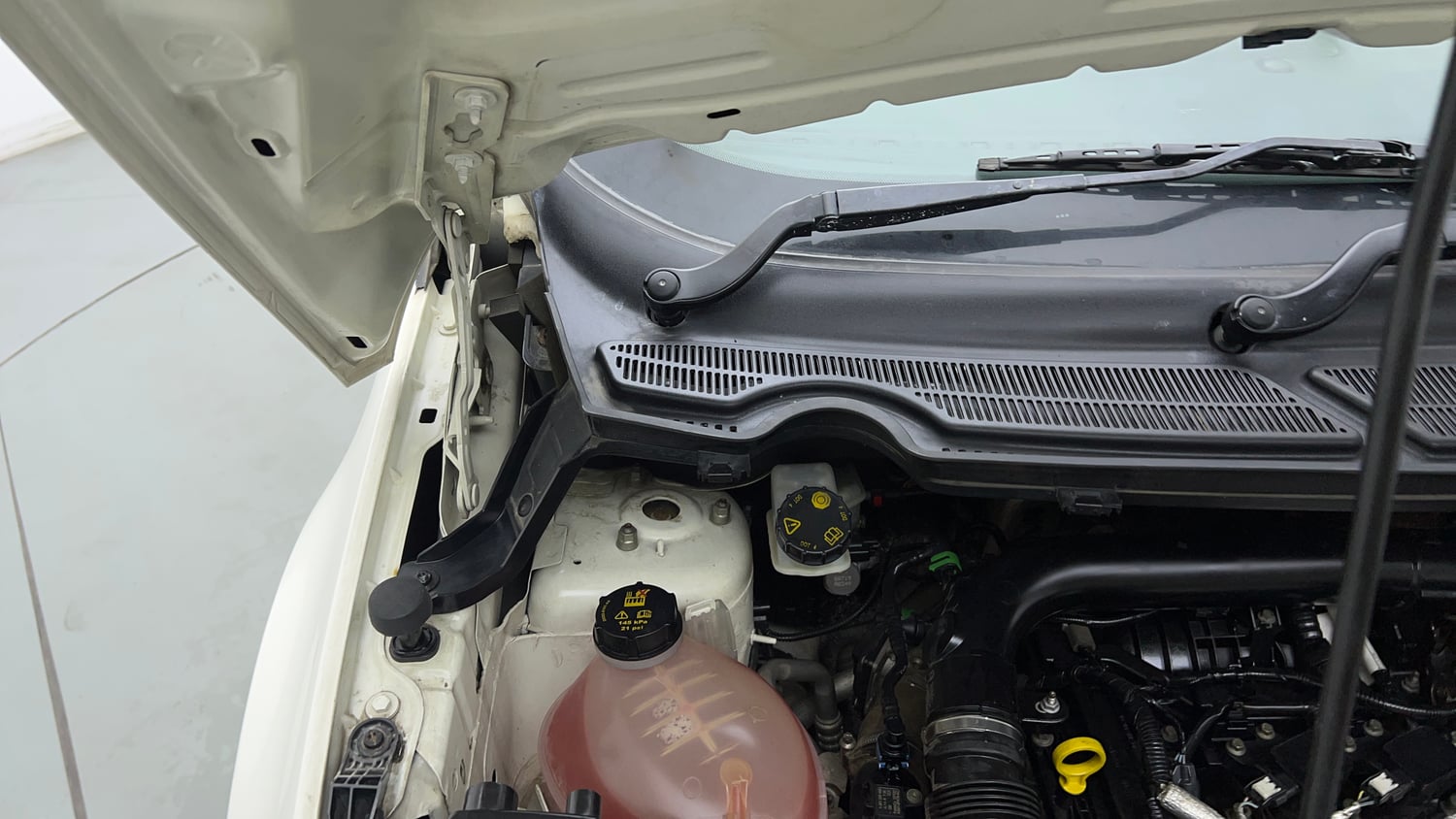 Used 2019 Ford EcoSport S Petrol Petrol Manual engine ENGINE RIGHT SIDE HINGE & APRON VIEW