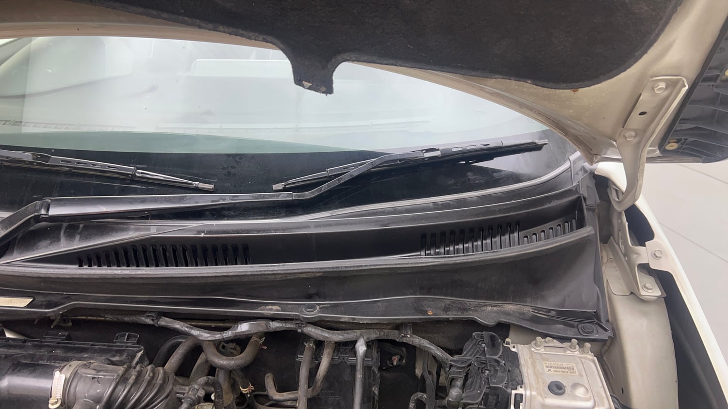 Used 2019 Maruti Suzuki Ignis Alpha 1.2 AMT Petrol Automatic engine ENGINE LEFT SIDE HINGE & APRON VIEW