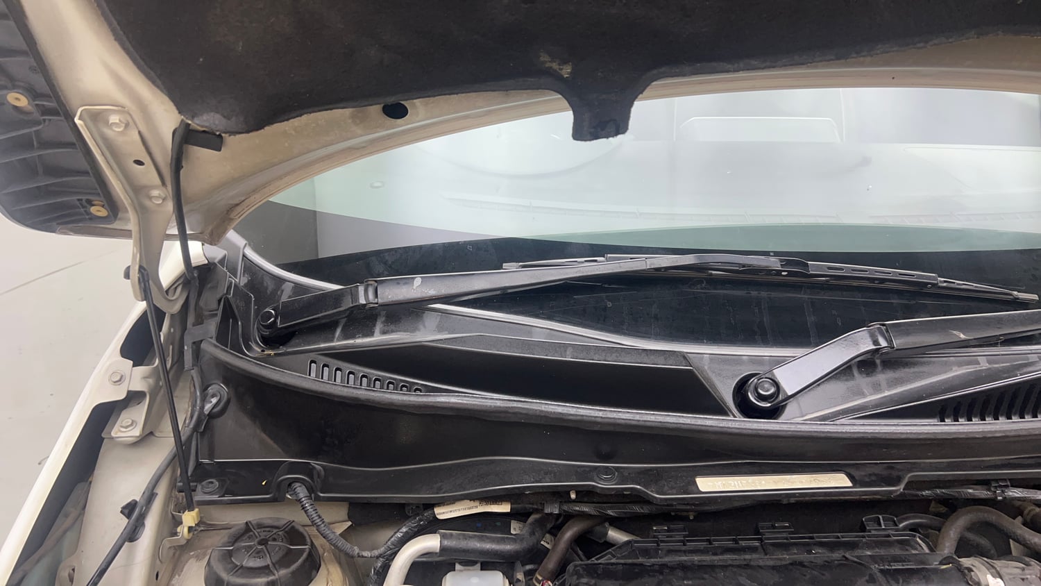 Used 2019 Maruti Suzuki Ignis Alpha 1.2 AMT Petrol Automatic engine ENGINE RIGHT SIDE HINGE & APRON VIEW
