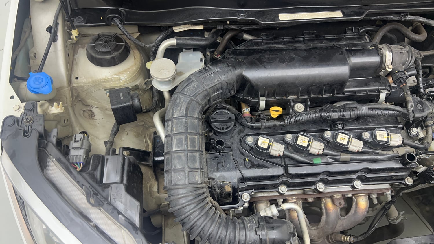 Used 2019 Maruti Suzuki Ignis Alpha 1.2 AMT Petrol Automatic engine ENGINE RIGHT SIDE VIEW