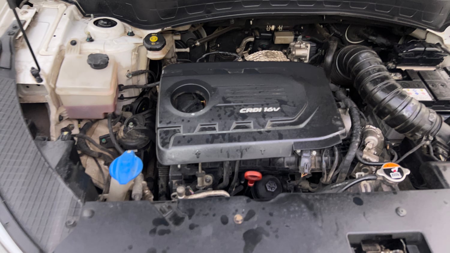 Used 2019 Kia Seltos HTX Plus AT 1.5 Diesel Diesel Automatic engine ENGINE RIGHT SIDE VIEW