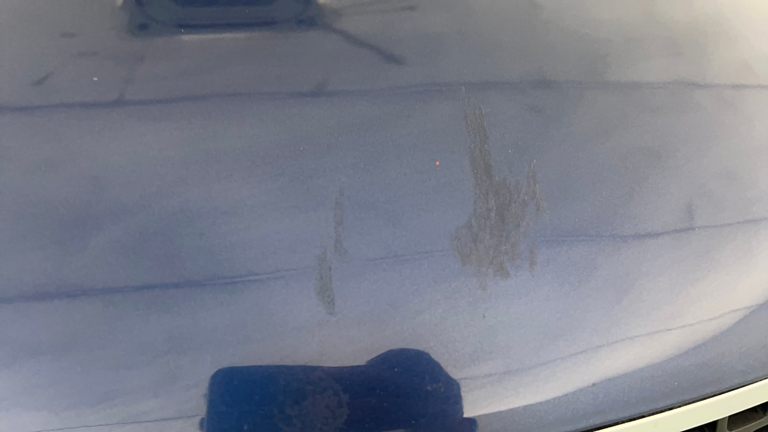 Used 2019 Maruti Suzuki Ignis Alpha 1.2 MT Petrol Manual dents MINOR SCRATCH