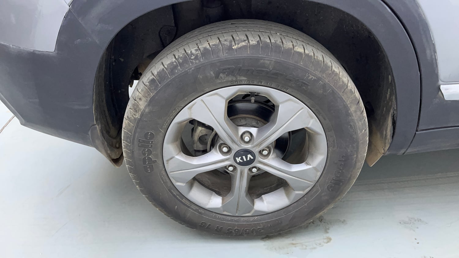 Used 2019 Kia Seltos HTK Plus 1.5 Diesel Diesel Manual tyres RIGHT REAR TYRE RIM VIEW