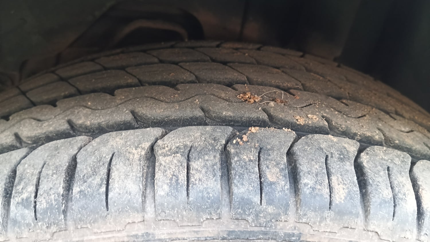Used 2019 Ford Freestyle Trend Plus 1.2 Ti-VCT Petrol Manual tyres LEFT REAR TYRE TREAD VIEW