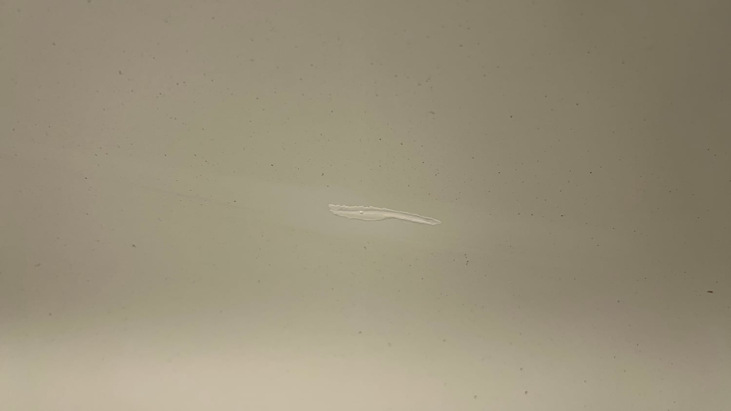 Used 2025 Honda City ZX Petrol CVT Petrol Automatic dents MINOR SCRATCH
