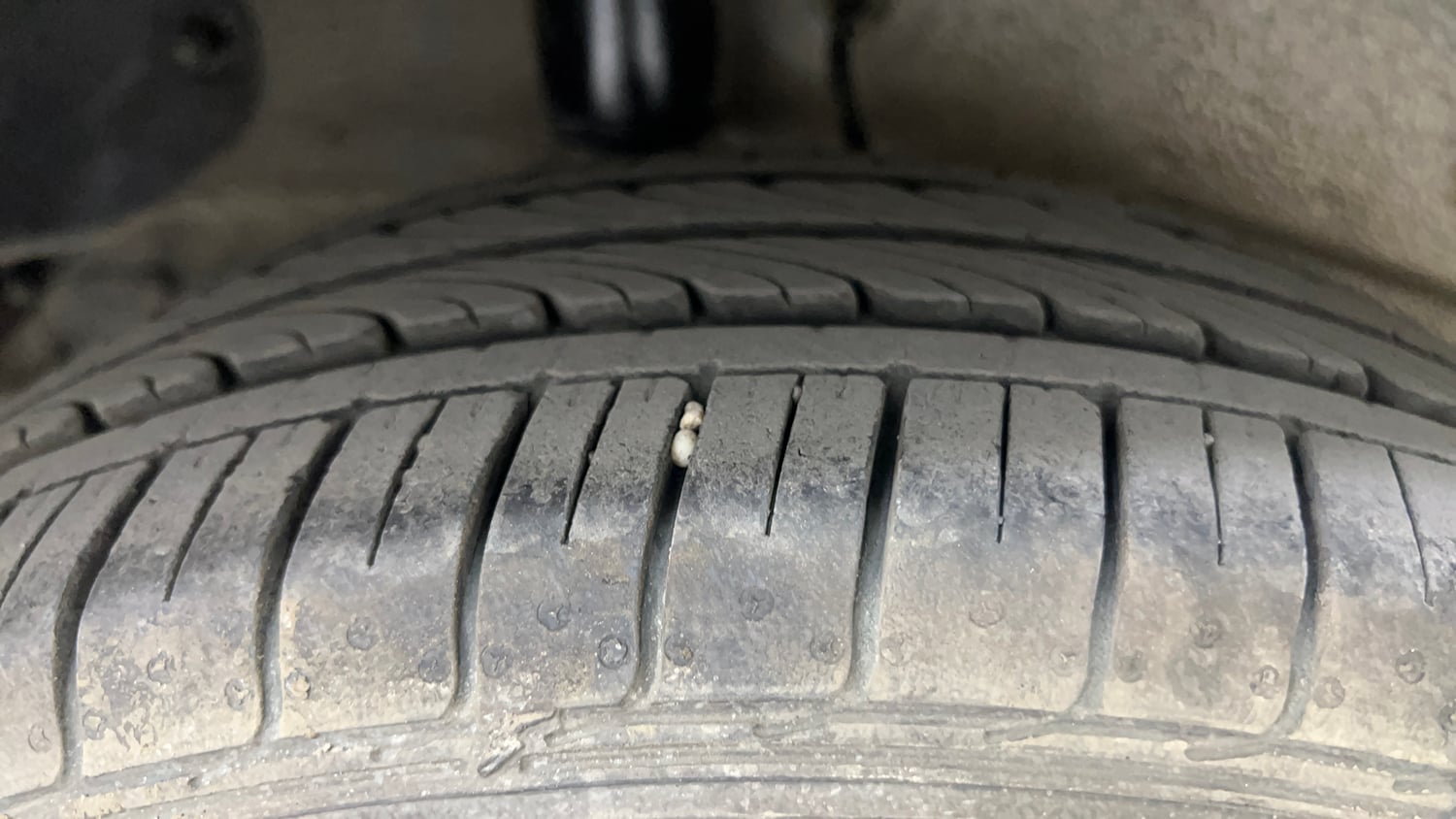 Used 2014 Tata Zest XMS Petrol Petrol Manual tyres RIGHT REAR TYRE TREAD VIEW