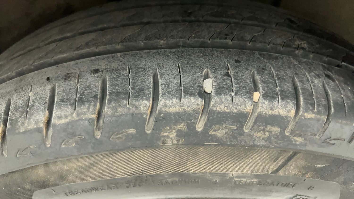 Used 2024 Tata Altroz XM Petrol Petrol Manual tyres RIGHT REAR TYRE TREAD VIEW