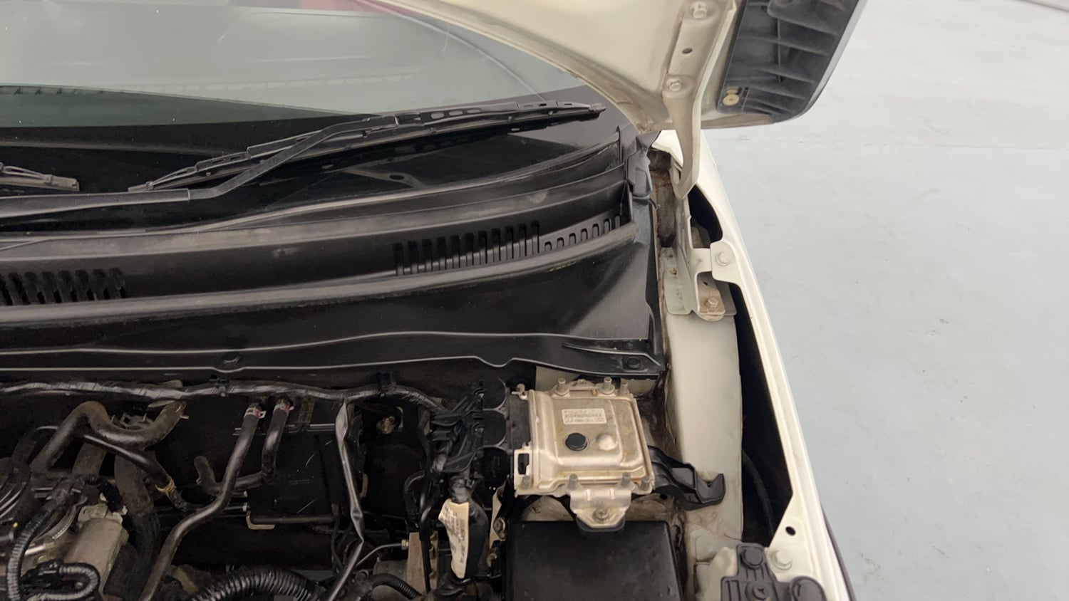 Used 2017 Maruti Suzuki Ignis Zeta 1.2 MT Petrol Manual engine ENGINE LEFT SIDE HINGE & APRON VIEW