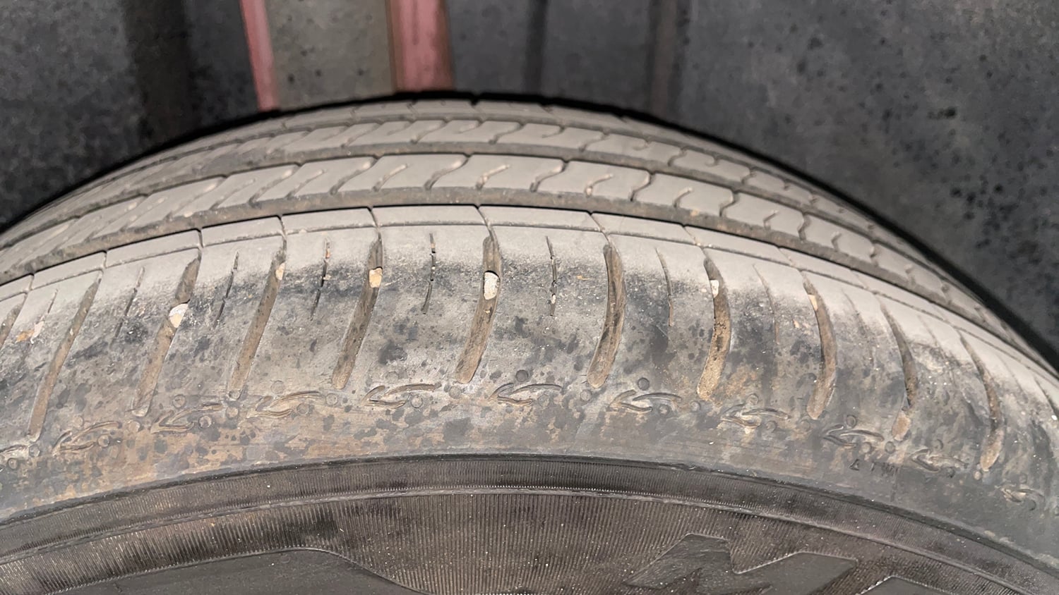 Used 2024 Volkswagen Virtus GT 1.5 TSI DSG Petrol Automatic tyres RIGHT REAR TYRE TREAD VIEW