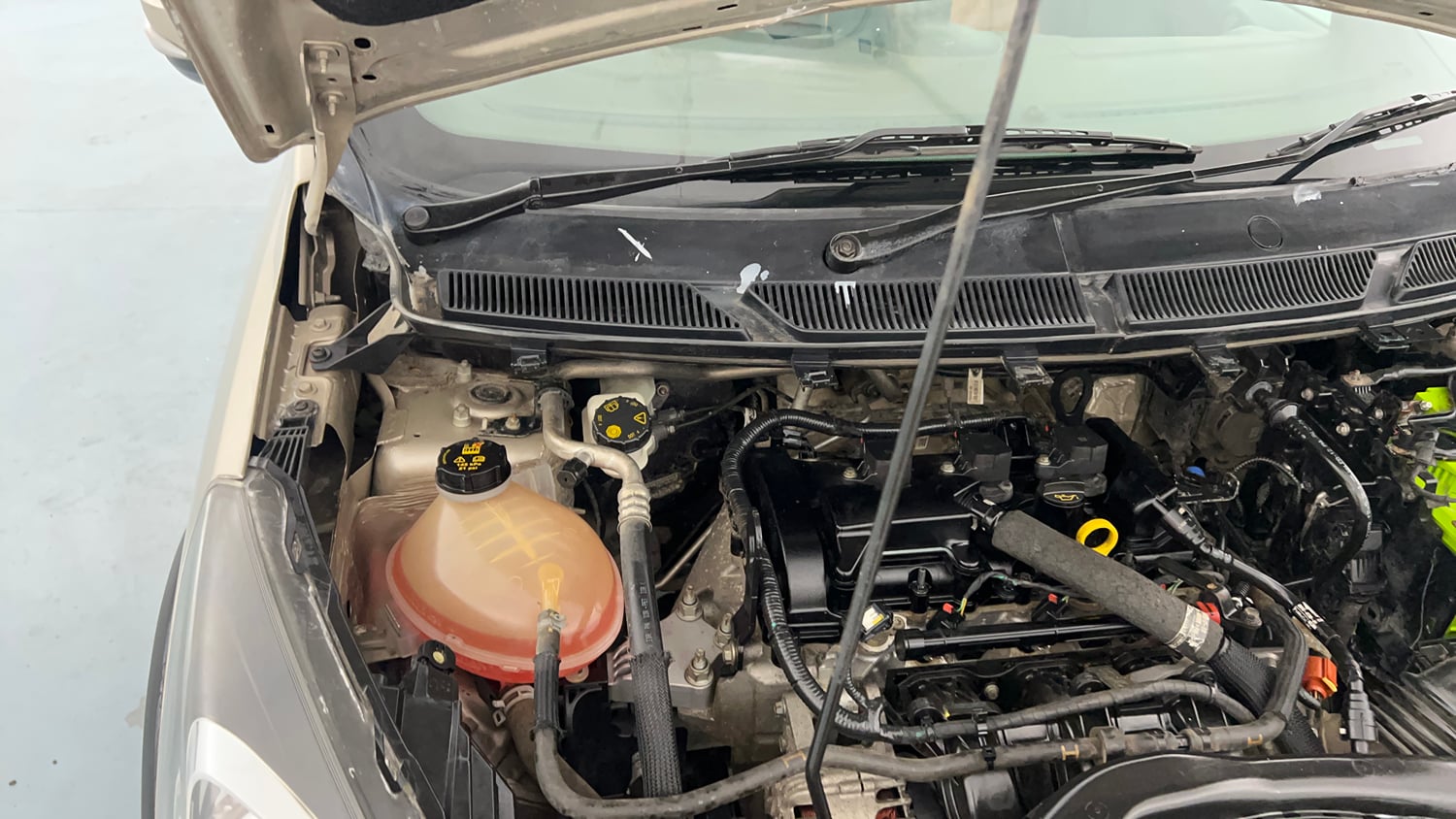 Used 2019 Ford Freestyle Titanium 1.2 Ti-VCT Petrol Manual engine ENGINE RIGHT SIDE HINGE & APRON VIEW