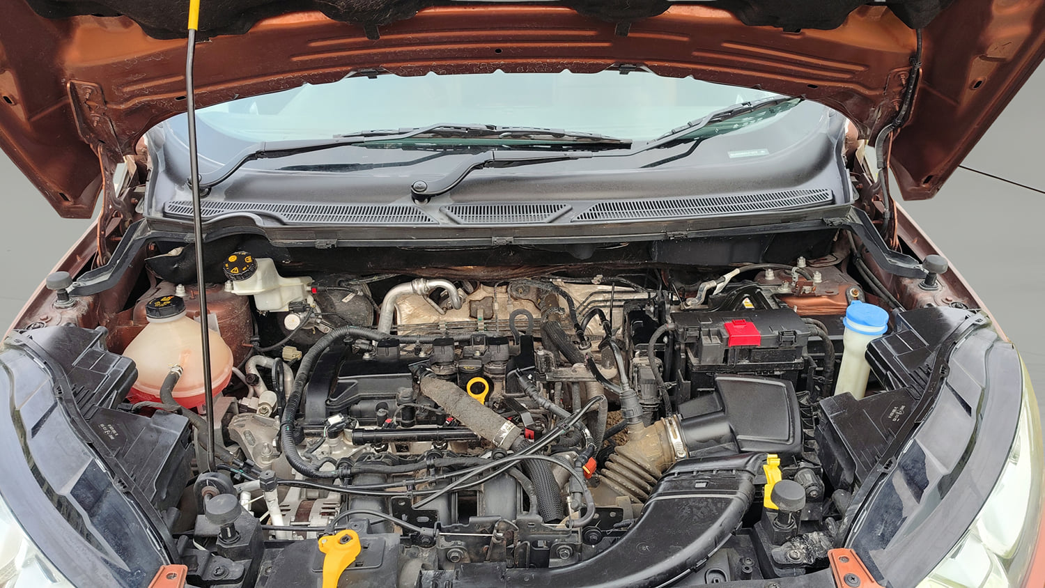 Used 2018 Ford EcoSport Titanium 1.5L Ti-VCT Petrol Manual engine ENGINE & BONNET OPEN FRONT VIEW