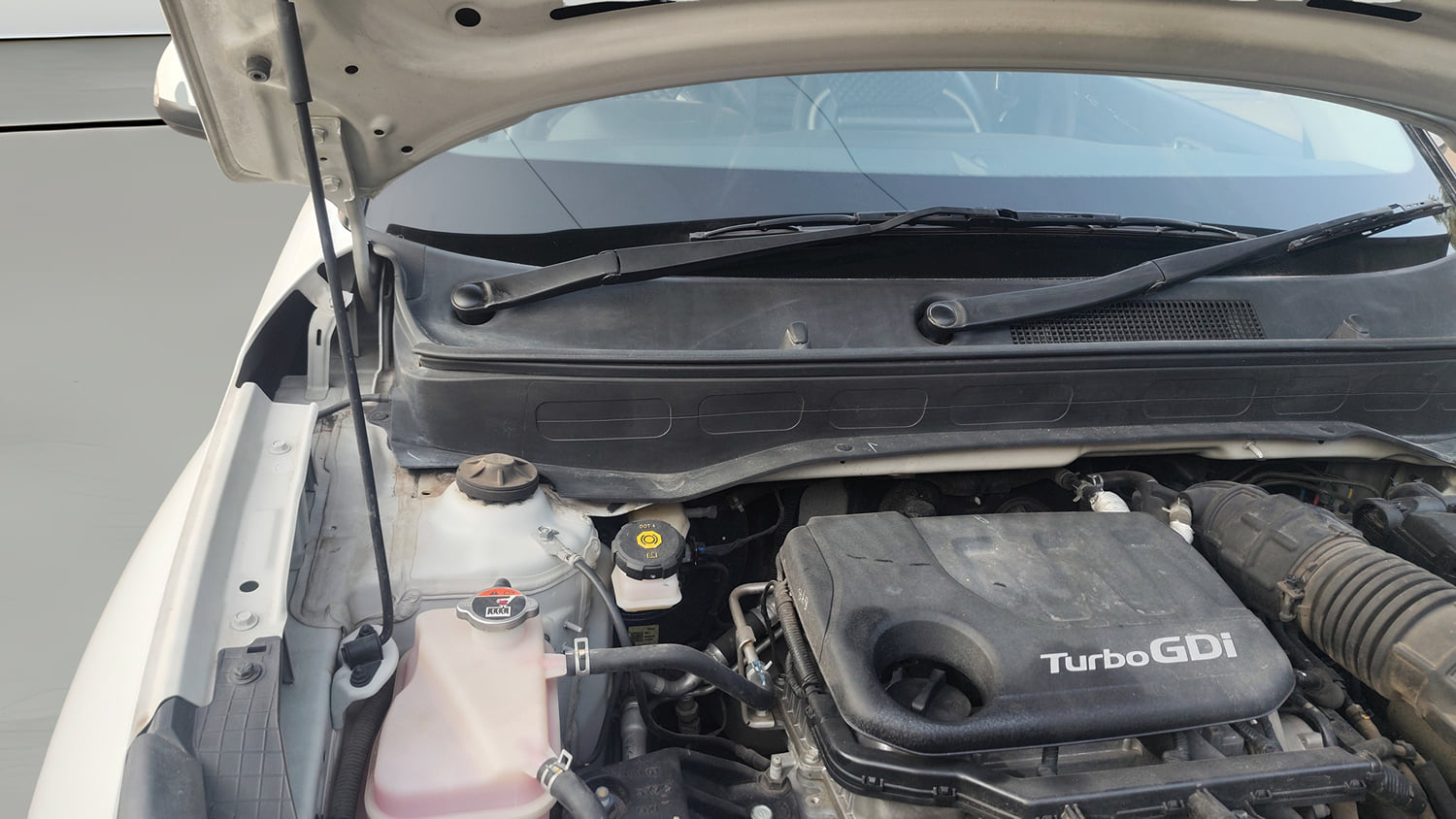 Used 2023 Hyundai Venue S (O) 1.0 Turbo DCT Petrol Automatic engine ENGINE RIGHT SIDE HINGE & APRON VIEW