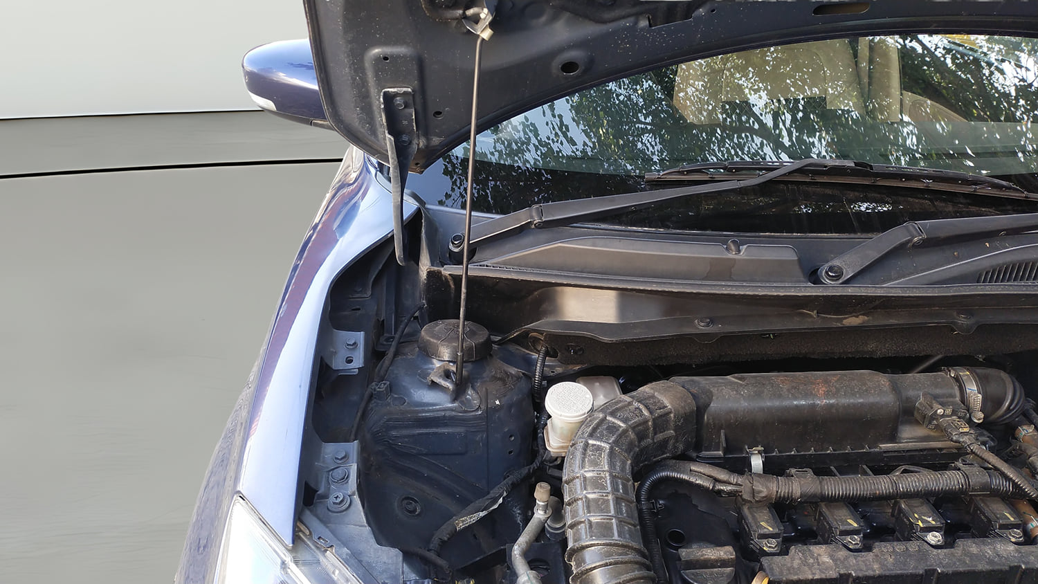 Used 2021 Maruti Suzuki Dzire ZXi Plus Petrol Manual engine ENGINE RIGHT SIDE HINGE & APRON VIEW