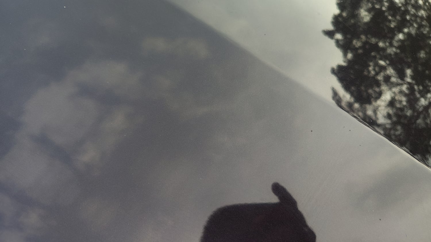 Used 2022 Tata Tiago XZ Plus Petrol Manual dents MINOR SCRATCH