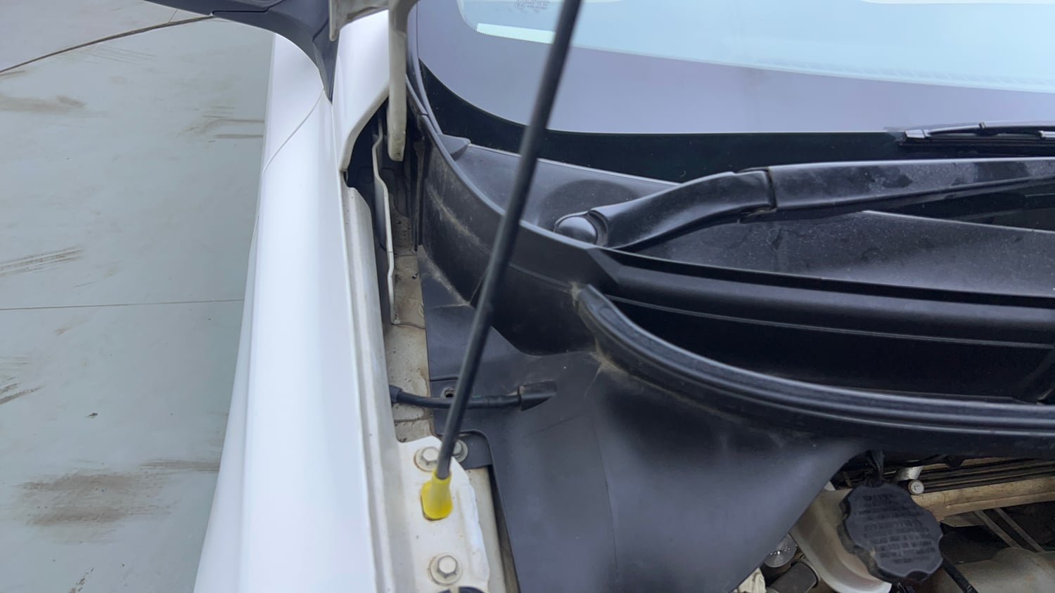 Used 2019 Hyundai Elite i20 Sportz Plus 1.2 Petrol Manual engine ENGINE RIGHT SIDE HINGE & APRON VIEW